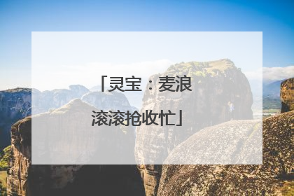 灵宝：麦浪滚滚抢收忙