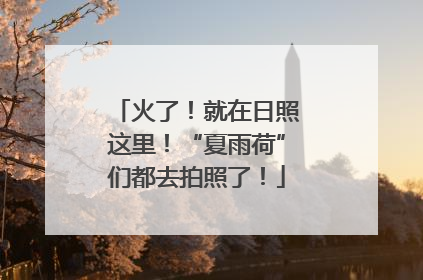 火了！就在日照这里！“夏雨荷”们都去拍照了！
