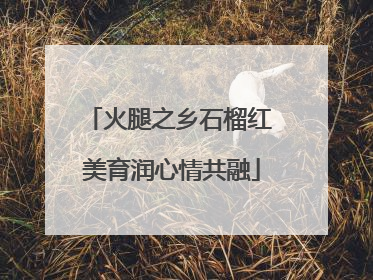 火腿之乡石榴红 美育润心情共融