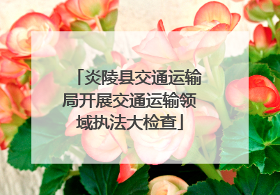 炎陵县交通运输局开展交通运输领域执法大检查