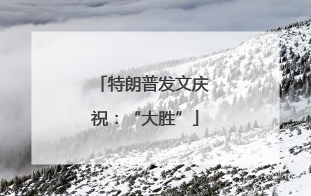 特朗普发文庆祝：“大胜”