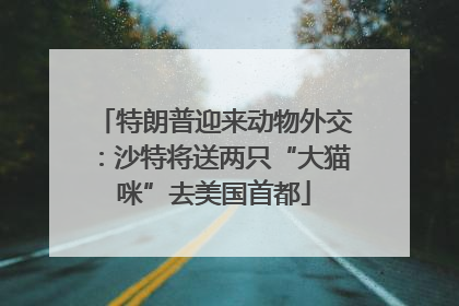 特朗普迎来动物外交：沙特将送两只“大猫咪”去美国首都