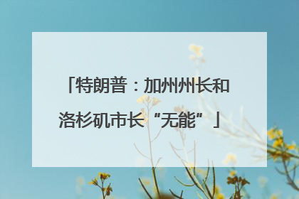 特朗普：加州州长和洛杉矶市长“无能”