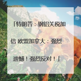 特朗普：钢铝关税加倍 欧盟加拿大：强烈遗憾！强烈反对！