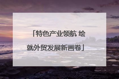 特色产业领航 绘就外贸发展新画卷