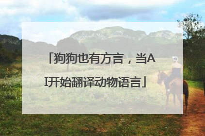 狗狗也有方言，当AI开始翻译动物语言