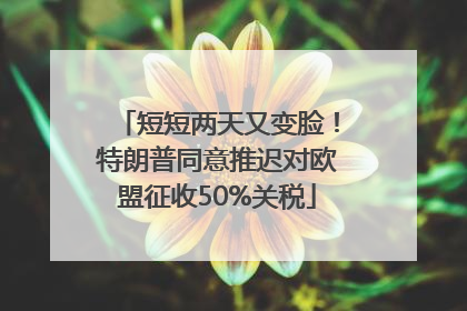 短短两天又变脸！特朗普同意推迟对欧盟征收50%关税