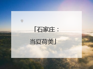 石家庄：当夏荷美