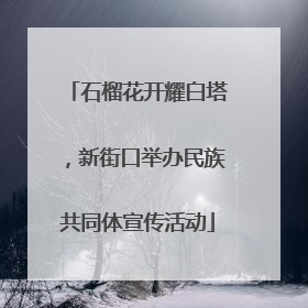 石榴花开耀白塔，新街口举办民族共同体宣传活动