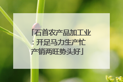 石首农产品加工业：开足马力生产忙 产销两旺势头好