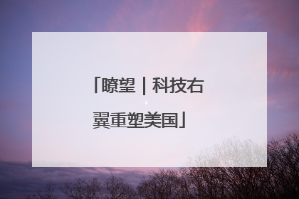瞭望｜科技右翼重塑美国