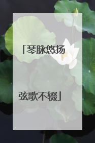 琴脉悠扬 弦歌不辍