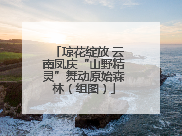 琼花绽放 云南凤庆“山野精灵”舞动原始森林（组图）