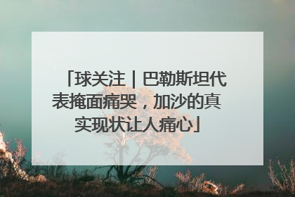 球关注｜巴勒斯坦代表掩面痛哭，加沙的真实现状让人痛心