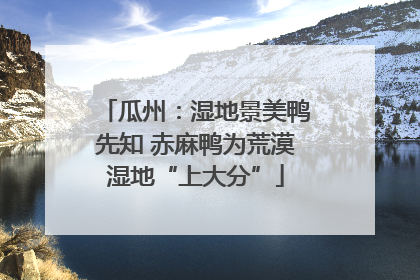 瓜州：湿地景美鸭先知 赤麻鸭为荒漠湿地“上大分”