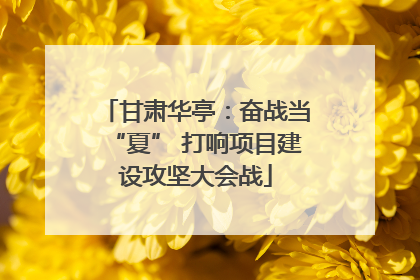 甘肃华亭：奋战当“夏” 打响项目建设攻坚大会战