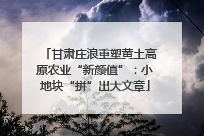 甘肃庄浪重塑黄土高原农业“新颜值”：小地块“拼”出大文章