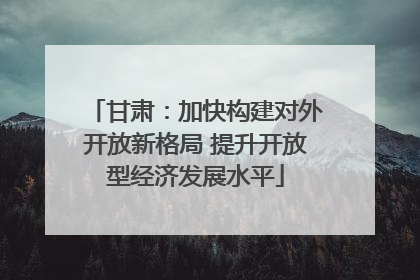 甘肃：加快构建对外开放新格局 提升开放型经济发展水平