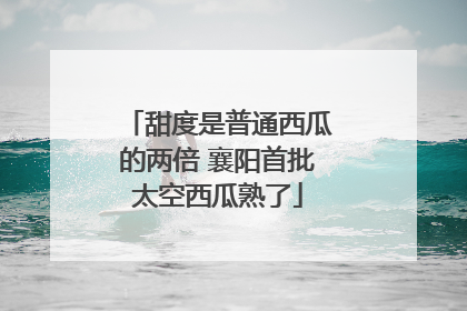 甜度是普通西瓜的两倍 襄阳首批太空西瓜熟了