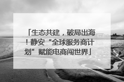 生态共建，破局出海！静安“全球服务商计划”赋能电商闯世界