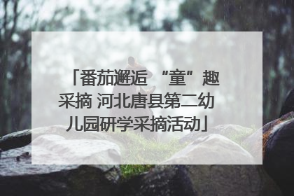 番茄邂逅 “童”趣采摘 河北唐县第二幼儿园研学采摘活动