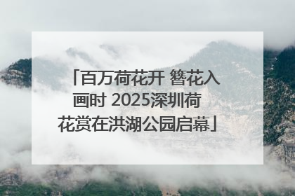 百万荷花开 簪花入画时 2025深圳荷花赏在洪湖公园启幕