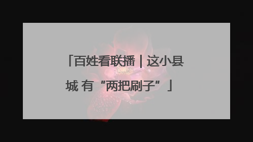 百姓看联播｜这小县城 有“两把刷子”