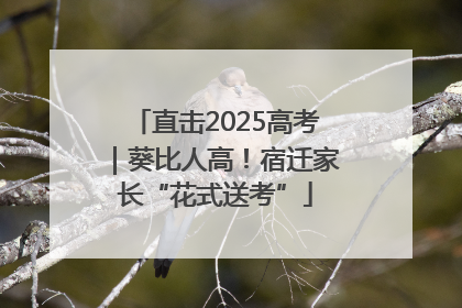 直击2025高考｜葵比人高！宿迁家长“花式送考”