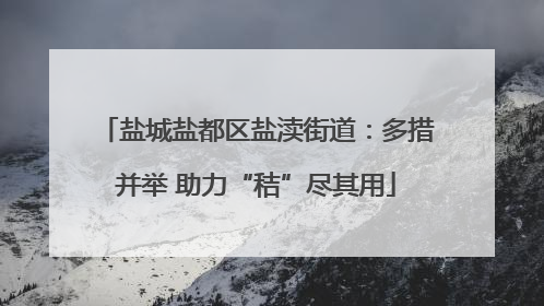 盐城盐都区盐渎街道：多措并举 助力“秸”尽其用