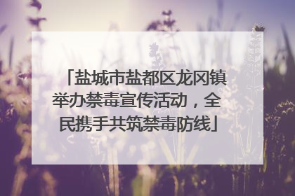 盐城市盐都区龙冈镇举办禁毒宣传活动，全民携手共筑禁毒防线