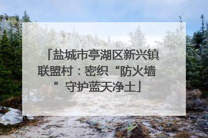 盐城市亭湖区新兴镇联盟村：密织“防火墙”守护蓝天净土