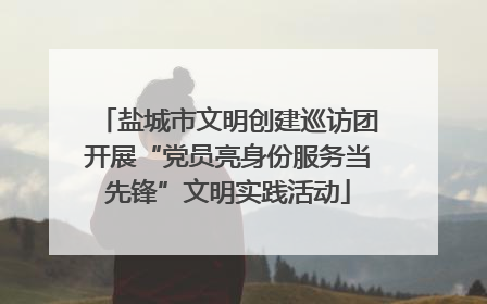 盐城市文明创建巡访团开展“党员亮身份服务当先锋”文明实践活动