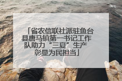 省农信联社派驻鱼台县唐马镇第一书记工作队助力“三夏”生产 彰显为民担当
