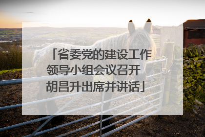省委党的建设工作领导小组会议召开 胡昌升出席并讲话
