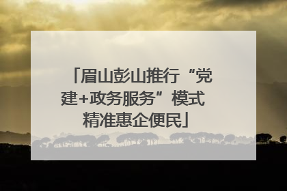 眉山彭山推行“党建+政务服务”模式 精准惠企便民