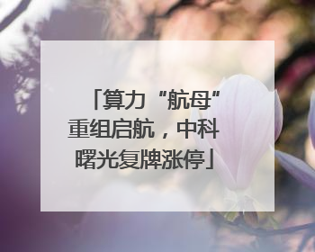 算力“航母”重组启航，中科曙光复牌涨停