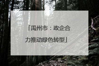 禹州市：政企合力推动绿色转型