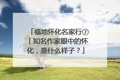 福地怀化名家行⑦丨知名作家眼中的怀化，是什么样子？