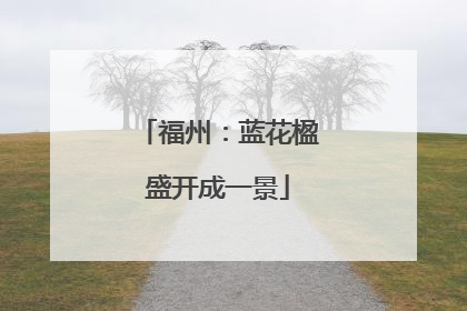 福州：蓝花楹盛开成一景