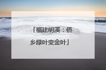 福建明溪：侨乡绿叶变金叶
