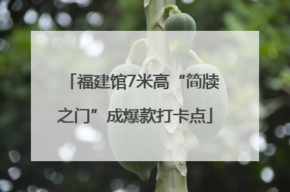 福建馆7米高“简牍之门”成爆款打卡点