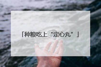 种粮吃上“定心丸”