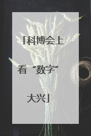 科博会上看“数字”大兴
