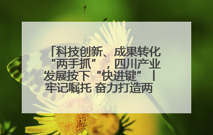科技创新、成果转化“两手抓”，四川产业发展按下“快进键”丨牢记嘱托 奋力打造两高地两基地一屏障