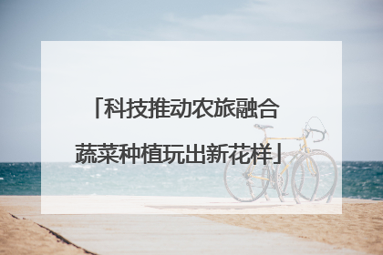 科技推动农旅融合 蔬菜种植玩出新花样