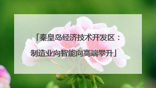 秦皇岛经济技术开发区：制造业向智能向高端攀升