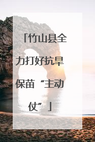 竹山县全力打好抗旱保苗“主动仗”