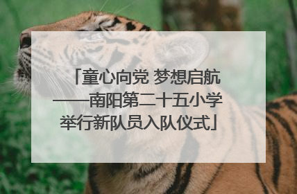 童心向党 梦想启航——南阳第二十五小学举行新队员入队仪式