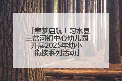 童梦启航！习水县三岔河镇中心幼儿园开展2025年幼小衔接系列活动