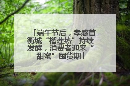 端午节后，孝感首衡城“榴莲热”持续发酵，消费者迎来“甜蜜”囤货期